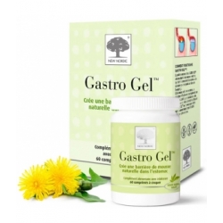Gastro Gel 60 comprimés - New Nordic