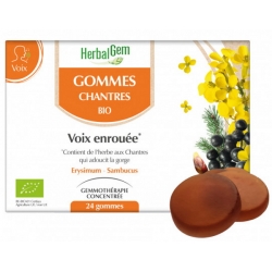 Gommes Chantres Voix enrouée Miel Citron x24 - Herbalgem