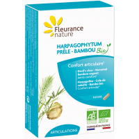 Harpagophytum Prêle Bambou Bio 40 gélules - Fleurance Nature Aromatic provence