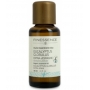 Huile Essentielle Eucalyptus Globulus bio 30 ml - Finessence