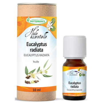 Huile essentielle Eucalyptus Radiata Bio 10ml - Phytofrance