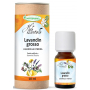 Huile Essentielle de Lavandin Grosso 10ml - Phytofrance Aromatic provence