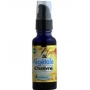 Huile végétale Chanvre Bio 30ml - Phytofrance