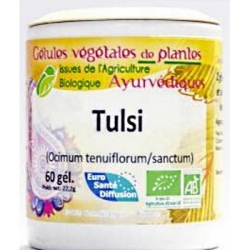 Tulsi Basilic Sacré 60 gélules - Phytofrance