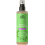 Spray cheveux revitalisant sans rinçage à l'Aloé Vera 250 ml - Urtekram