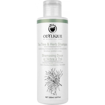 Shampoing Doux à l'Arbre à Thé 200 ml - Odylique