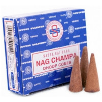 Nag Champa Encens en cône 10 pièces encens hindou Aromatic provence