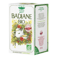 Tisane Badiane bio 20 sachets Romon Nature, infusion digestion, aromatic provence