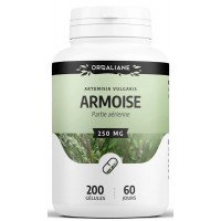 Armoise 250mg 200 gélules - GPH Diffusion confort prémenstruel et urinaire Aromatic provence