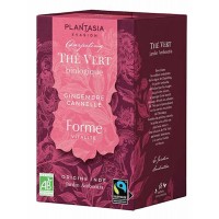 Thé vert Forme Gingembre Cannelle 18 sachets - Plantasia thé vert darjeeling bio Aromatic provence