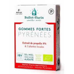 Gommes fortes des Pyrénées boite 30g - Ballot Flurin