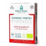 Gommes fortes des Pyrénées boite 30g - Ballot Flurin gommes propolis bio Aromatic provence