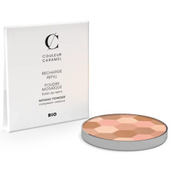 Recharge Poudre mosaique n°232 teint clair - Couleur Caramel