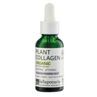 Collagène Végétal 30ml