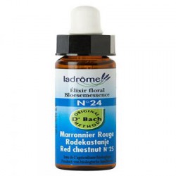Fleur de bach Maronnier rouge n° 24 (Red chestnut n°25)