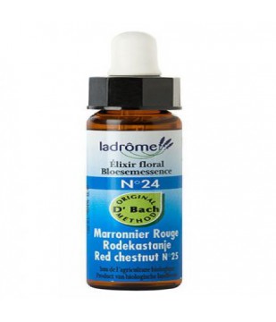 Fleur de bach Maronnier rouge n° 24 (Red chestnut n°25)