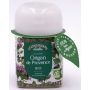 Origan bio Provence Recharge - 18 grammes - Provence d'Antan