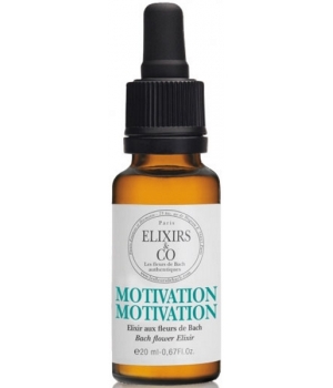 Elixir composé bio MOTIVATION - Elixirs & Co