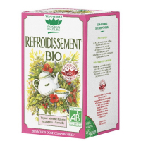 Tisane refroidissement bio 20 sachets respiratoire Romon Nature Aromatic provence