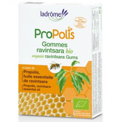 Gomme au Ravintsara bio - Ladrôme