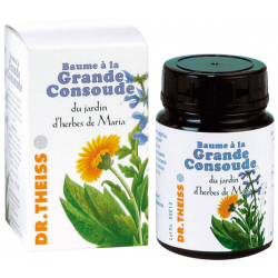 Baume à la Grande Consoude 100ml - Dr.Theiss