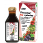 Foradix Floravital Carence en fer, Salus, floradix aide à prévenir les déficits en fer,Floradix FLORAVITAL 250ml Salus