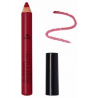 Crayon à rouge à lèvres Jumbo Châtaigne 2g Avril beauté