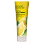 Shampooing au citron 237ml - Desert Essence