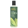 Shampooing régénérant à l'arbre à thé 382 ml - Desert Essence