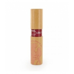Gloss n°829 rose rouge édition limitée Un dimanche à Deauville - Couleur Caramel