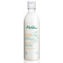 Shampooing antipelliculaire 200 ml - Melvita
