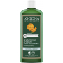 Shampooing Apaisant au souci officinal bio 250ml - Logona