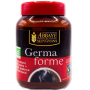 Germaforme Chicorée bio Café arabica bio instantanés 100 g - Abbaye de Sept fons