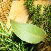 Herbes, Aromates, Sels et Epices bio