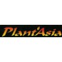 Plant Asia