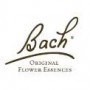 bach flower remedies