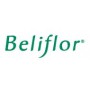 Beliflor